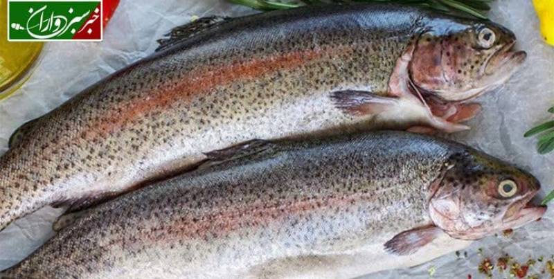 هشدار رئیس شبکه دامپزشکی رفسنجان در خصوص خرید ماهی از خودروهای سیار