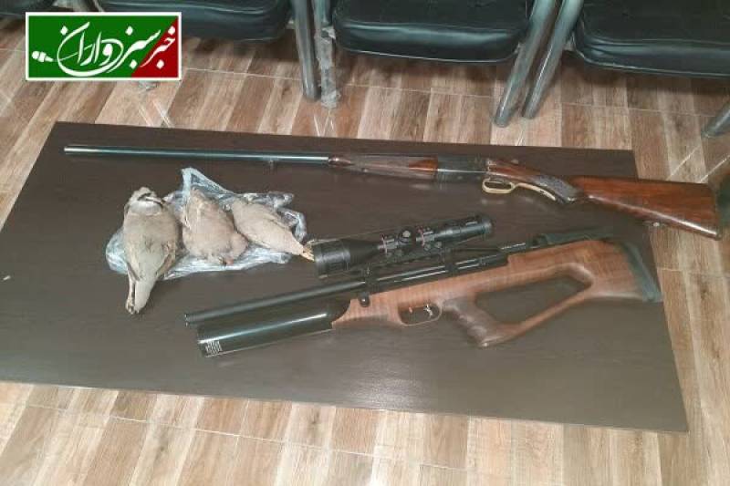 شکارچی غیرمجاز پرندگان وحشی در گلباف دستگیر شد