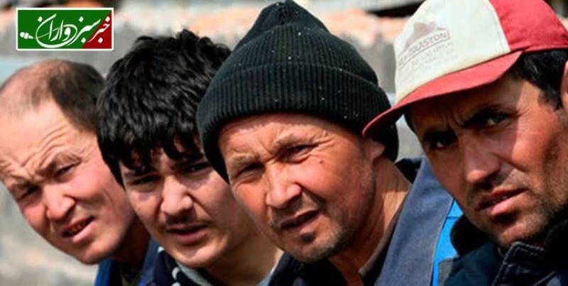 هشدار رئیس دادگستری رودبار جنوب نسبت به برخی ازدواج‌های غیررسمی با اتباع بیگانه