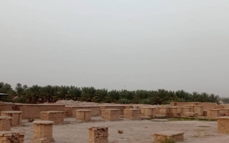 ثبت جهانی دقیانوس جیرفت در معرض خطر