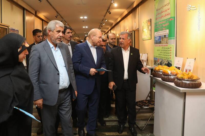 نمایشگاه توانمندی‌های کشاورزی جنوب کرمان در مجلس برپا شد