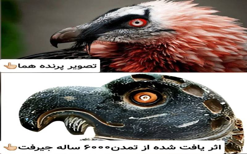 سردیس هما یافت شده از تمدن ۶۰۰۰ ساله جیرفت