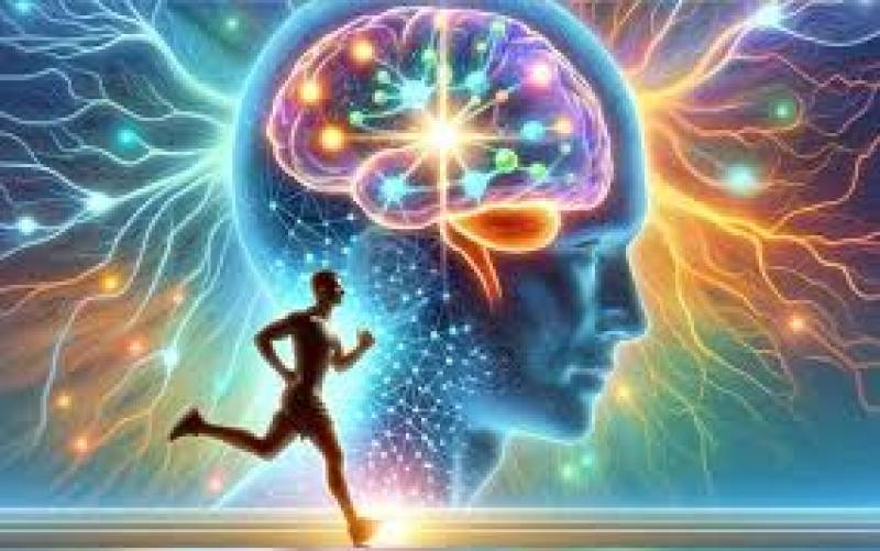 ورزش چه نقشی در سلامت مغز ایفا می‌کند؟