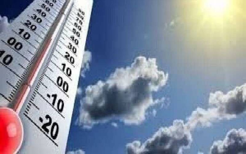 بهار کرمان تابستانی شد