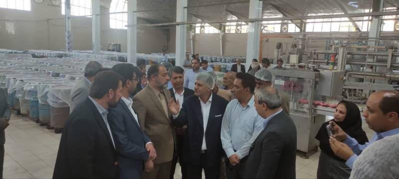 راه‌اندازی خط تولید رب اسپتیک در عنبرآباد