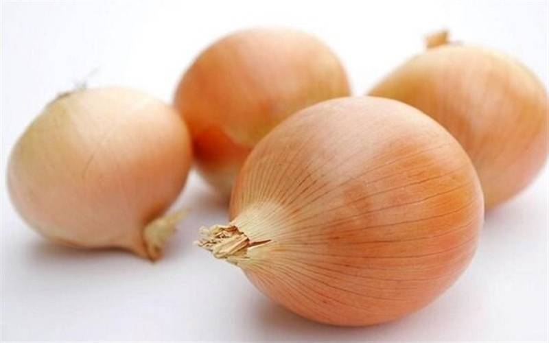 خرید تضمینی پیاز آغاز شد