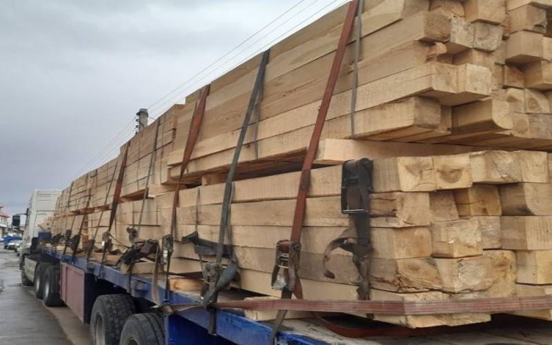 کشف ۱۱ تن چوب جنگلی قاچاق در کرمان