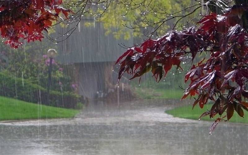 هشدار زرد هواشناسی برای کرمان؛ رگبارهای موسمی در راه است